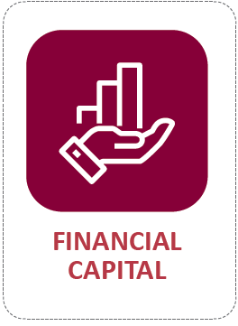 FINANCIAL CAPITAL