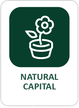 NATURAL CAPITAL