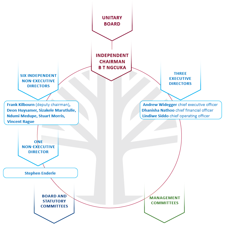 Governance structure