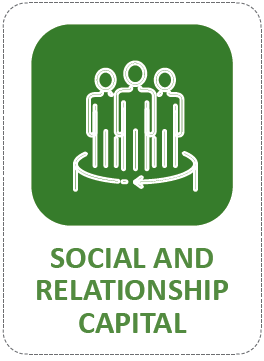 SOCIAL AND RELATIONSHIP CAPITAL
